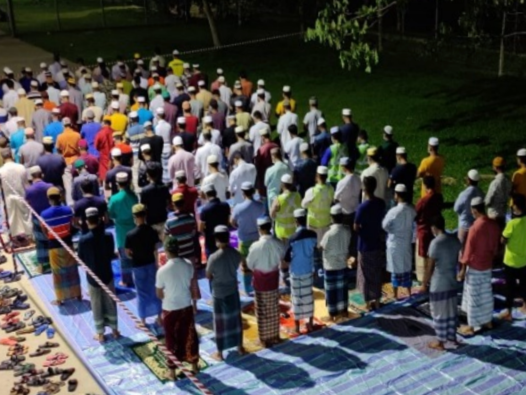 Newsletter July 2022